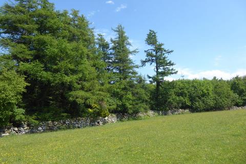 undefined, Coed Gwinllan Tyddyn, Penygroes, Gwynedd LL54