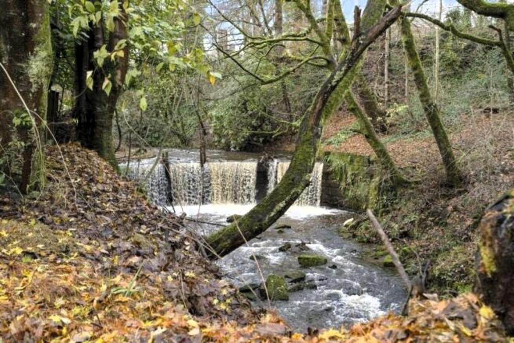 Waterfall view