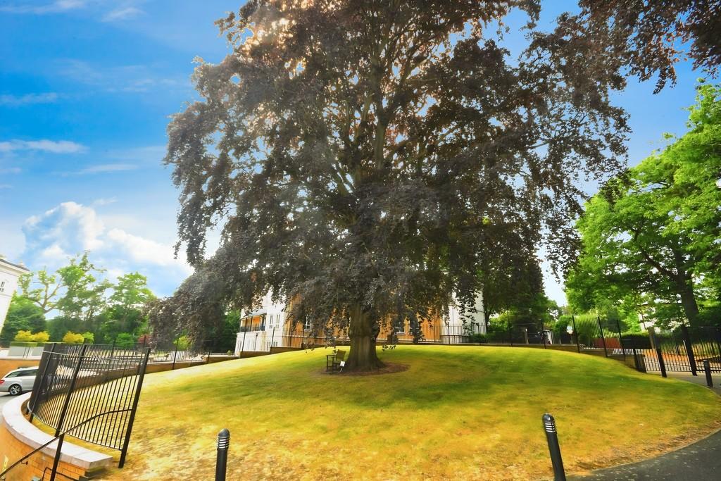 B4fbd59d-Tree