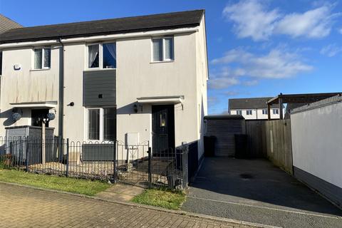 House Field Meadow, Launceston, Cornwall, PL15