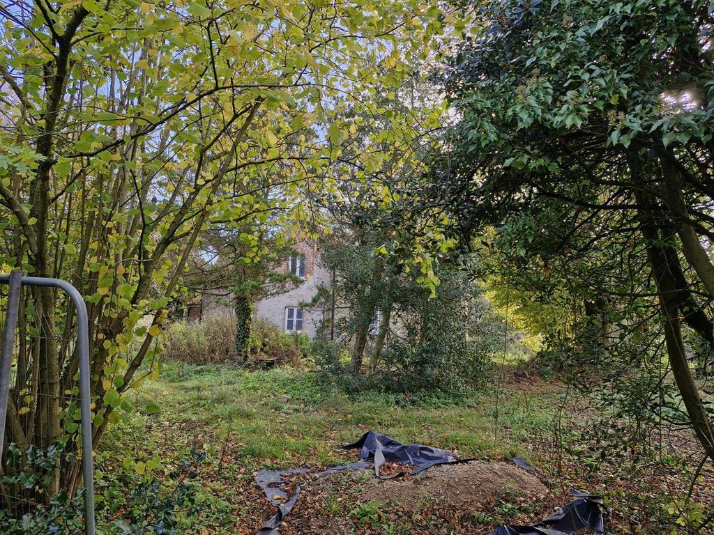 Tudor Cottage - b.jpg