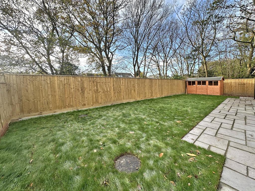 Picture 21