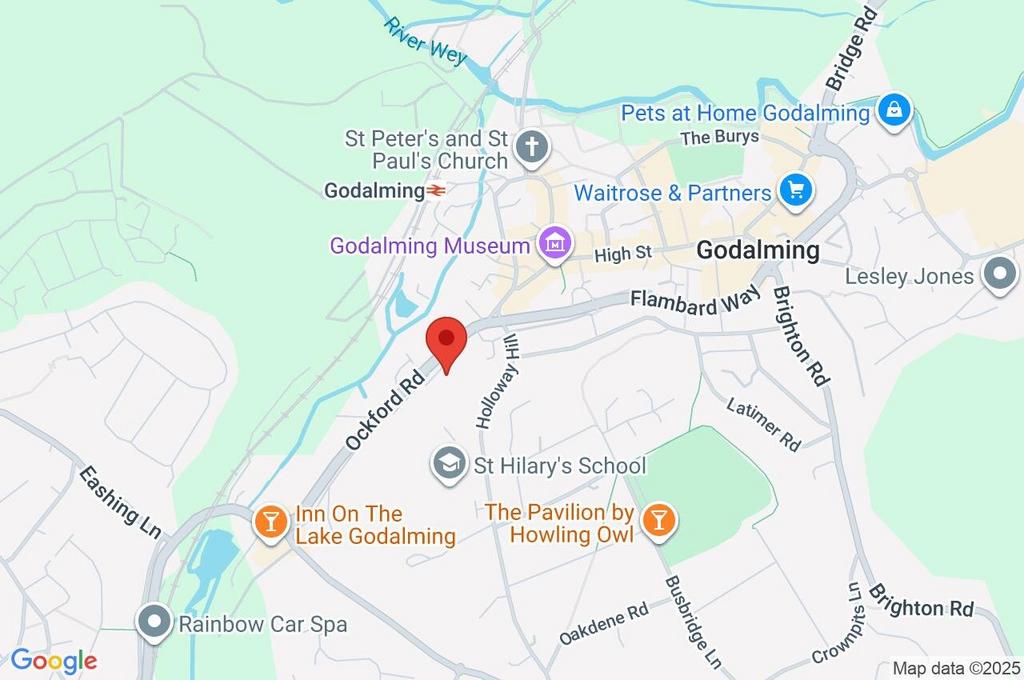 Google Maps Image