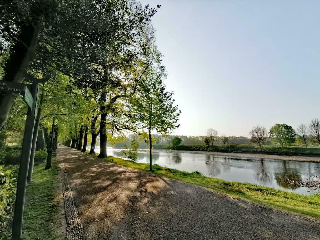 Surrounding Area