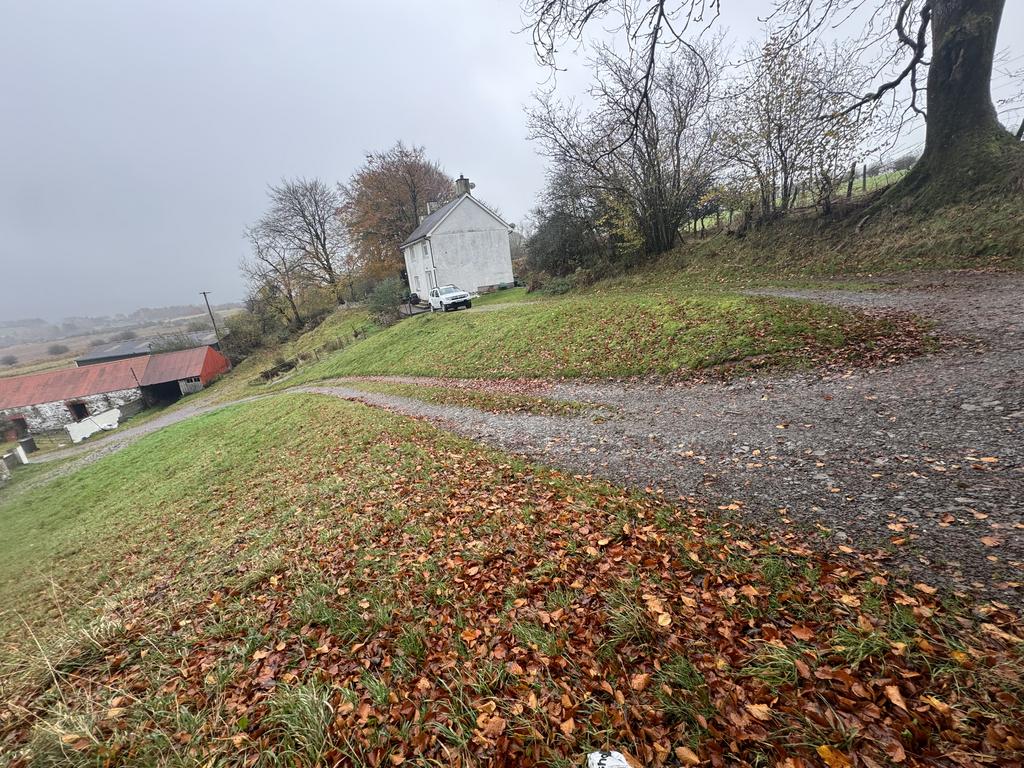 Parking and Driveway