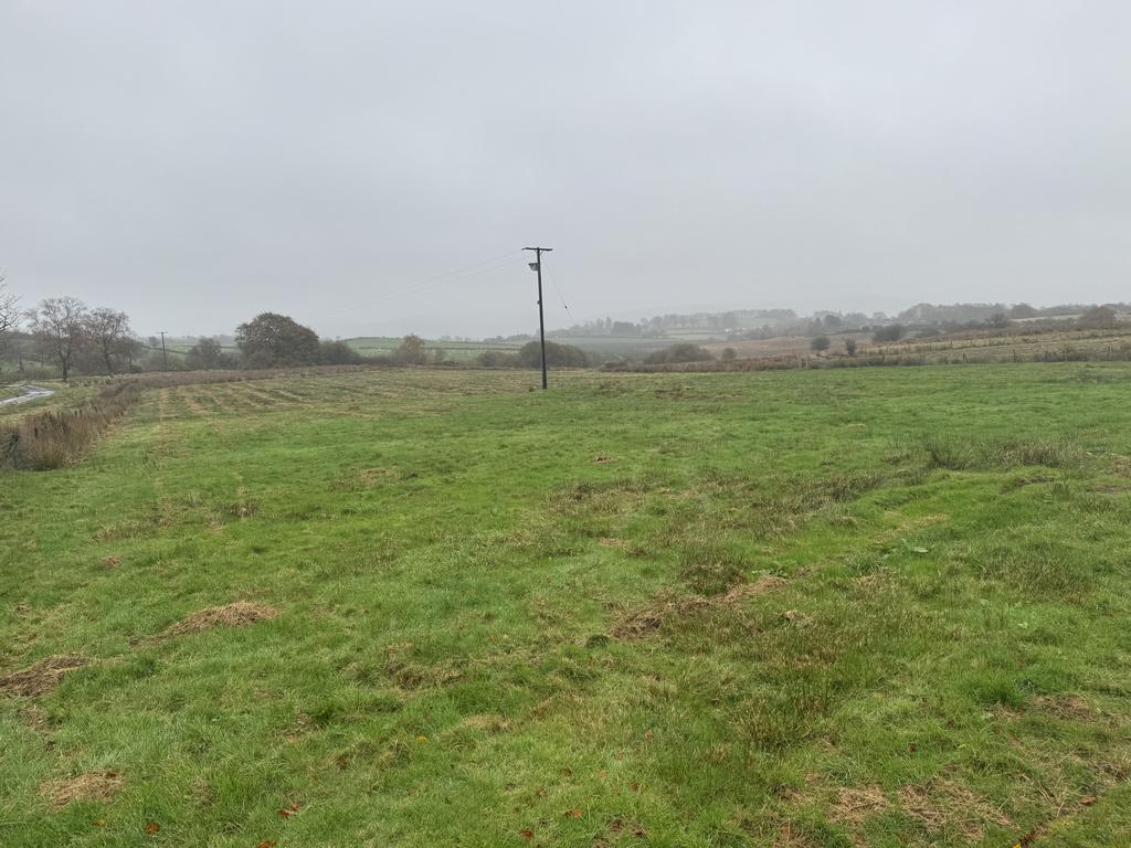 The Land
