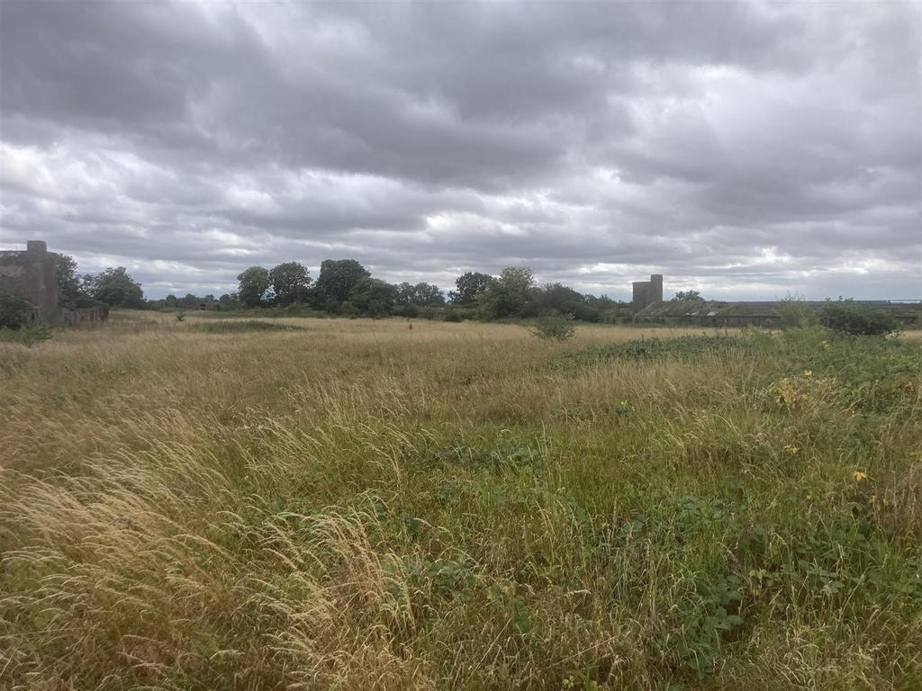 20250715 141952312 i OS.jpg