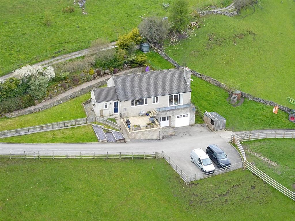 Dji 0553.jpg
