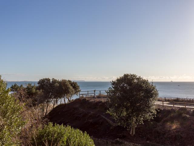 20a Studland Dene-2 640 X 480.jpg