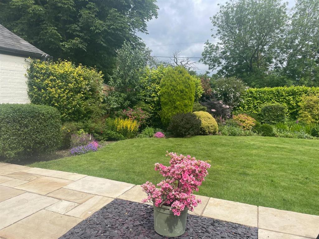 Owners own garden photo