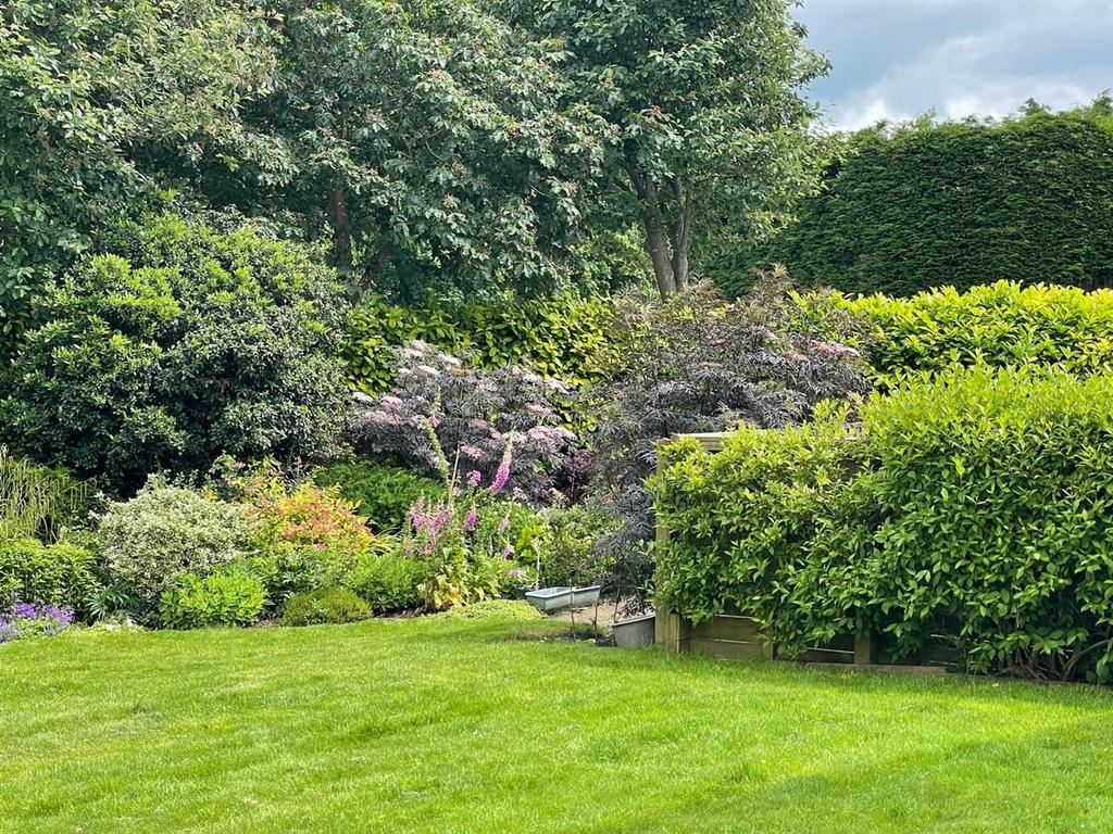 Owners own garden photo