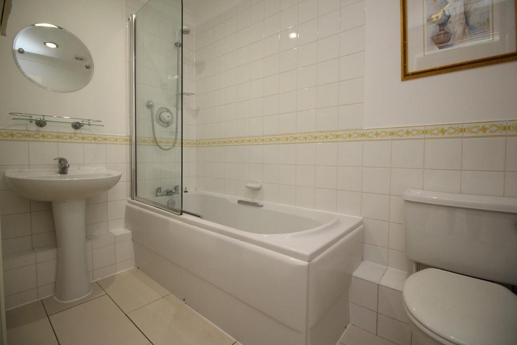 Picture 8