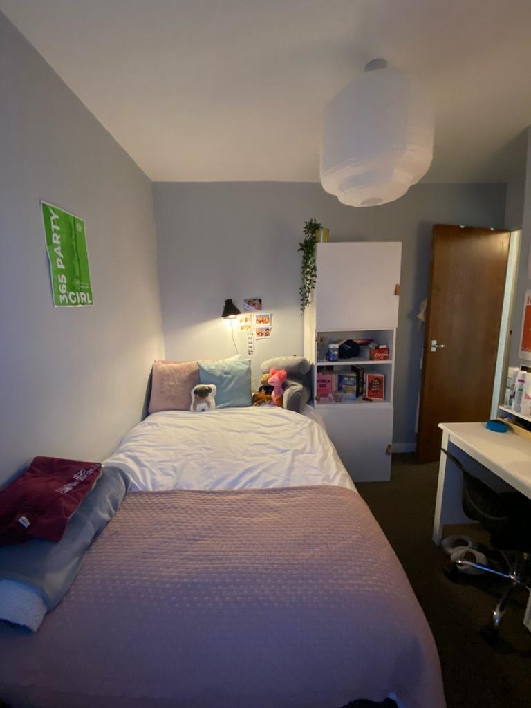 Picture 3