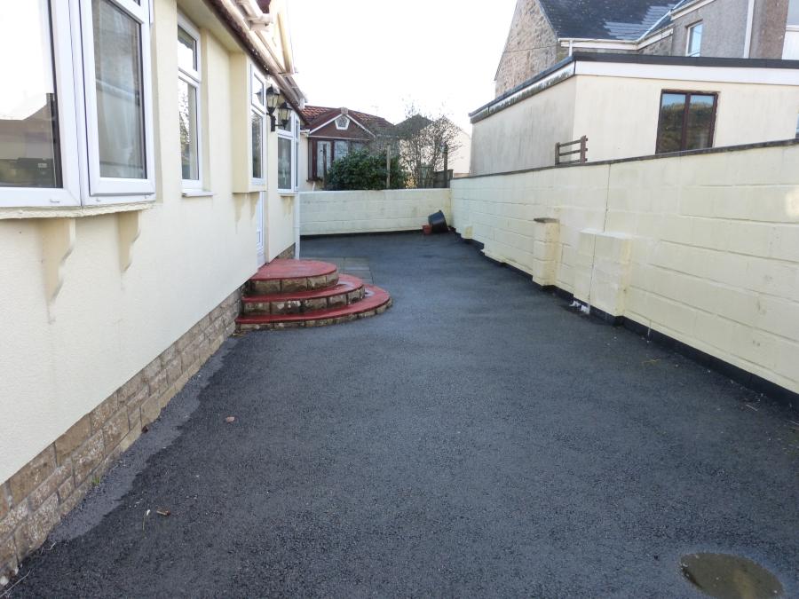 Back Garden