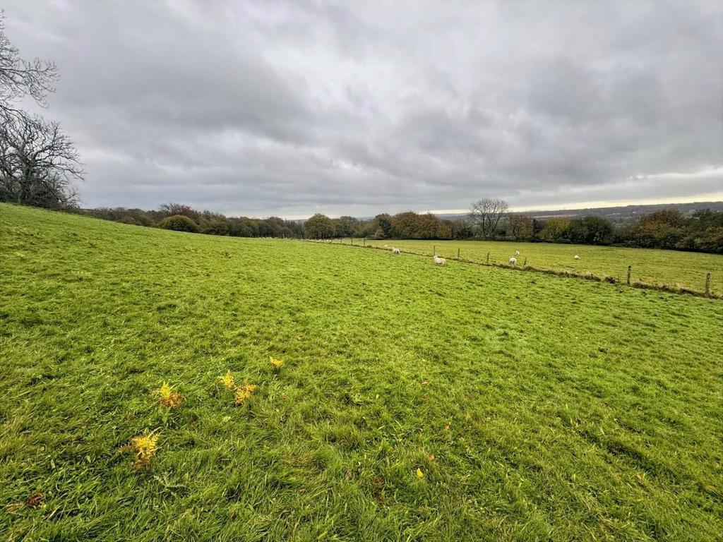 Field 3.JPG