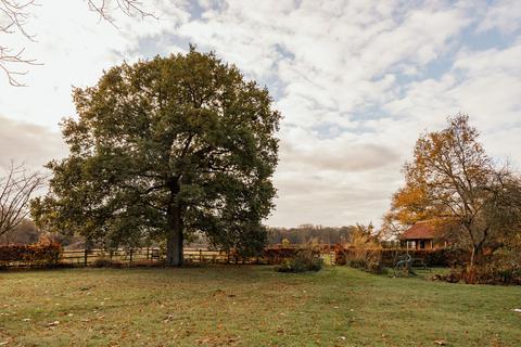 undefined, Skeyton
