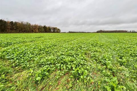 undefined, 117.29 Acres Of Stubble Turnips, Home Farm, Rangemore