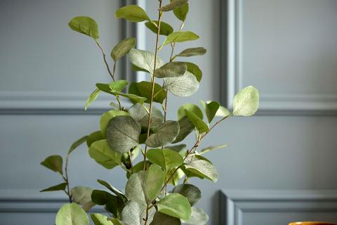 undefined, Nuthatch, Welbeck Gardens, Bolsover