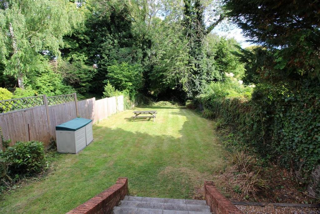 Picture 11