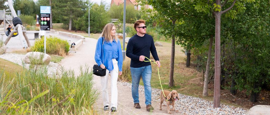 A young couple walking with a dog in a green...