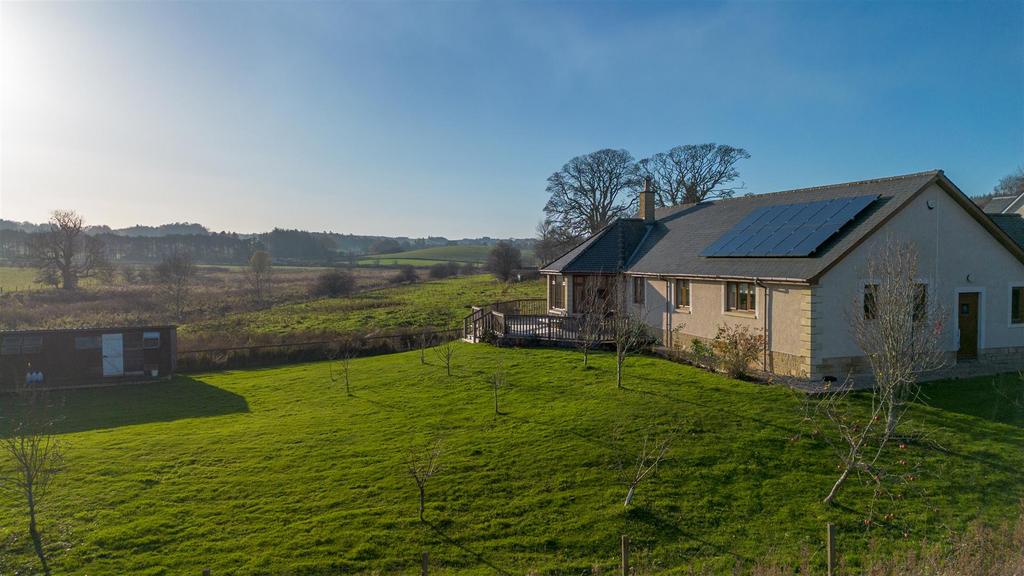 DJI 0464.jpg