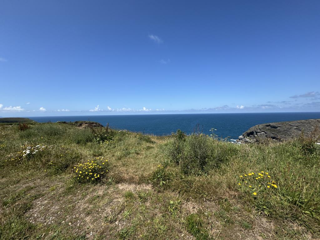 Sea view from land
