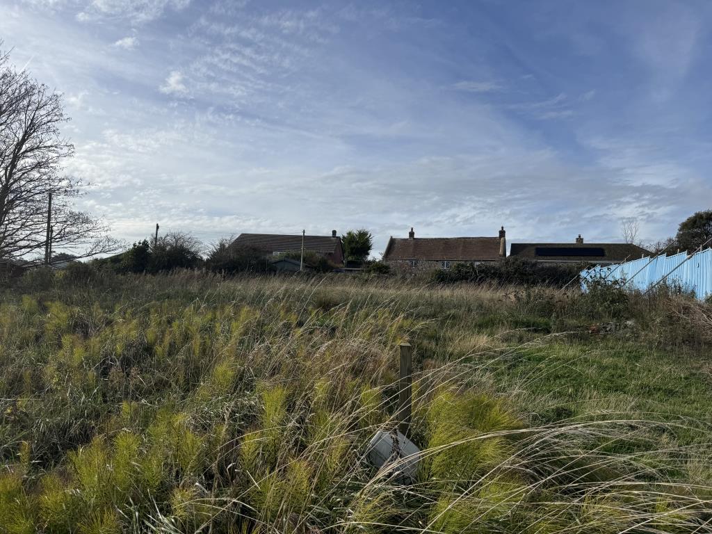 Grassland