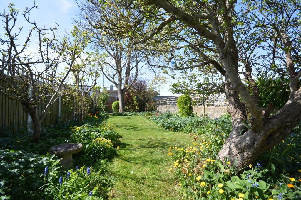 Garden to rear