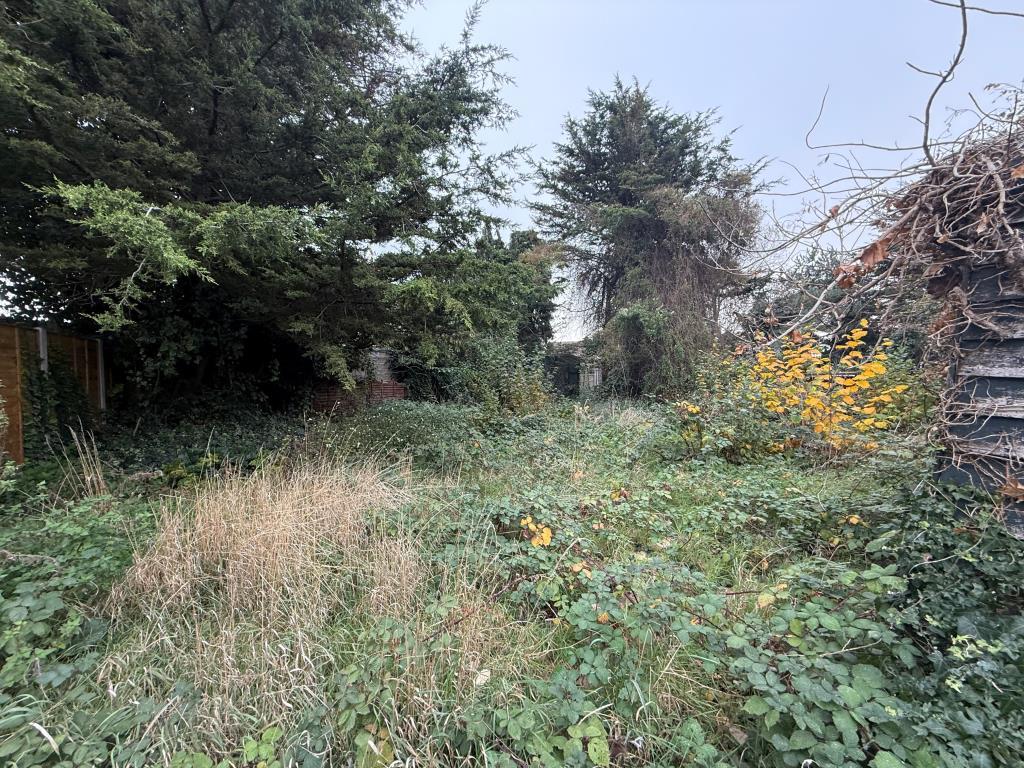 Other view of overgrown garden