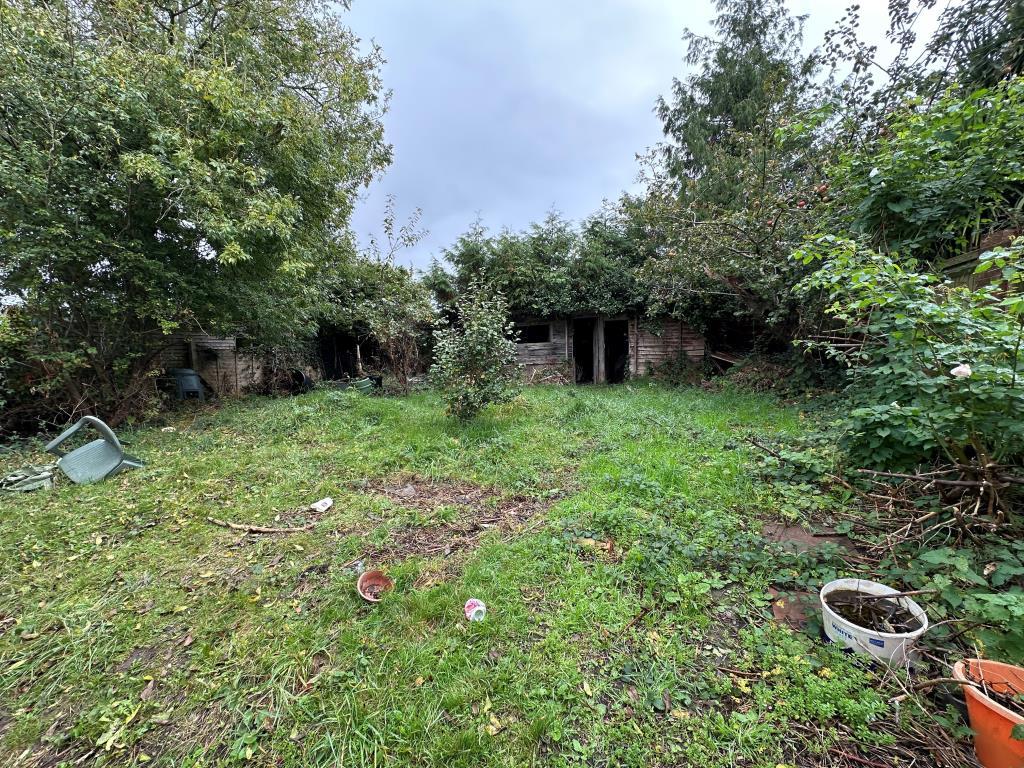 Back Garden