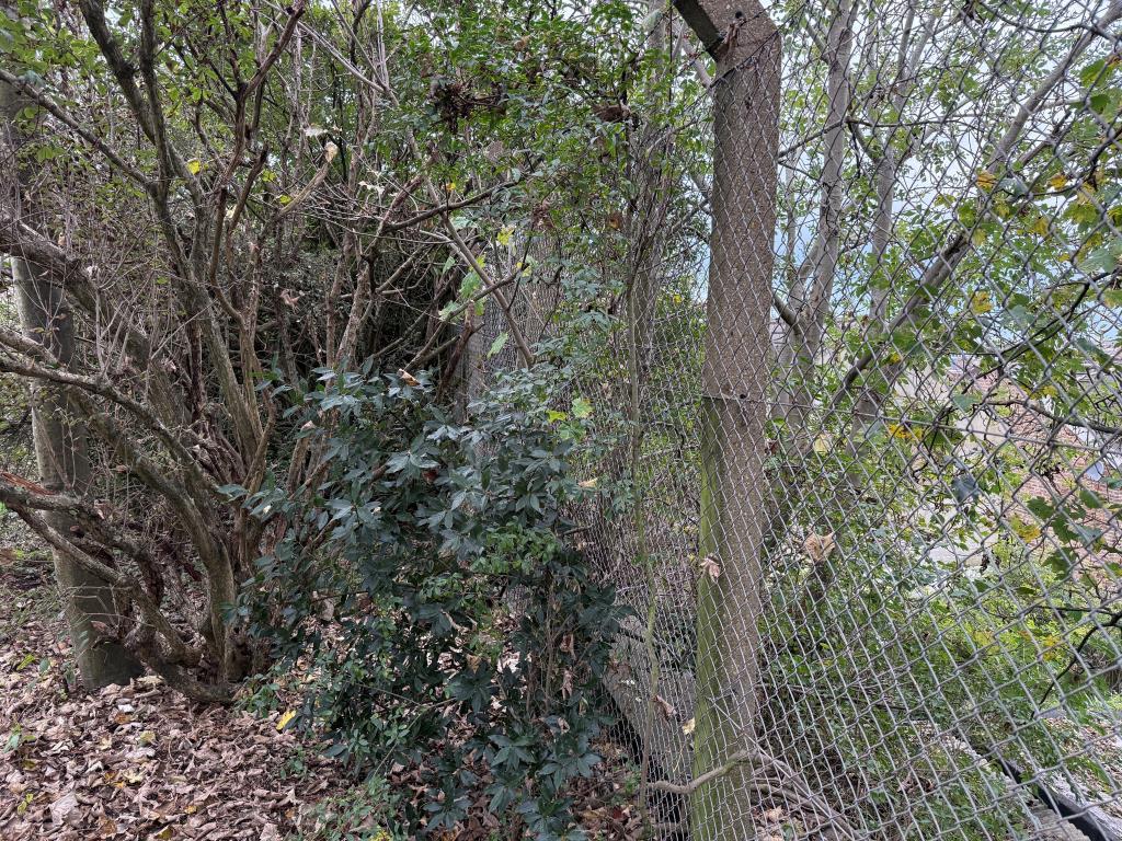 Boundary fence to rear of site