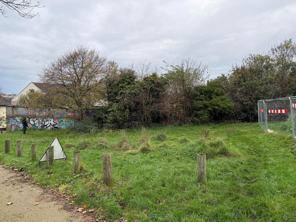 Boundary wall showing depth of site