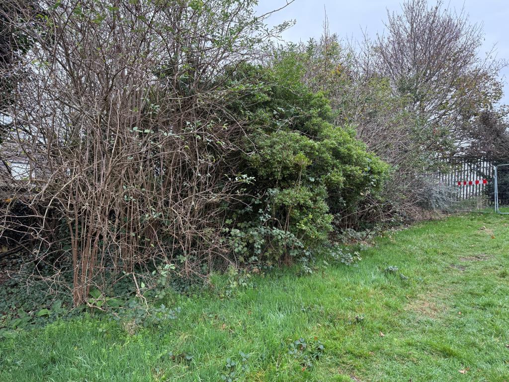 Boundary to rear of site