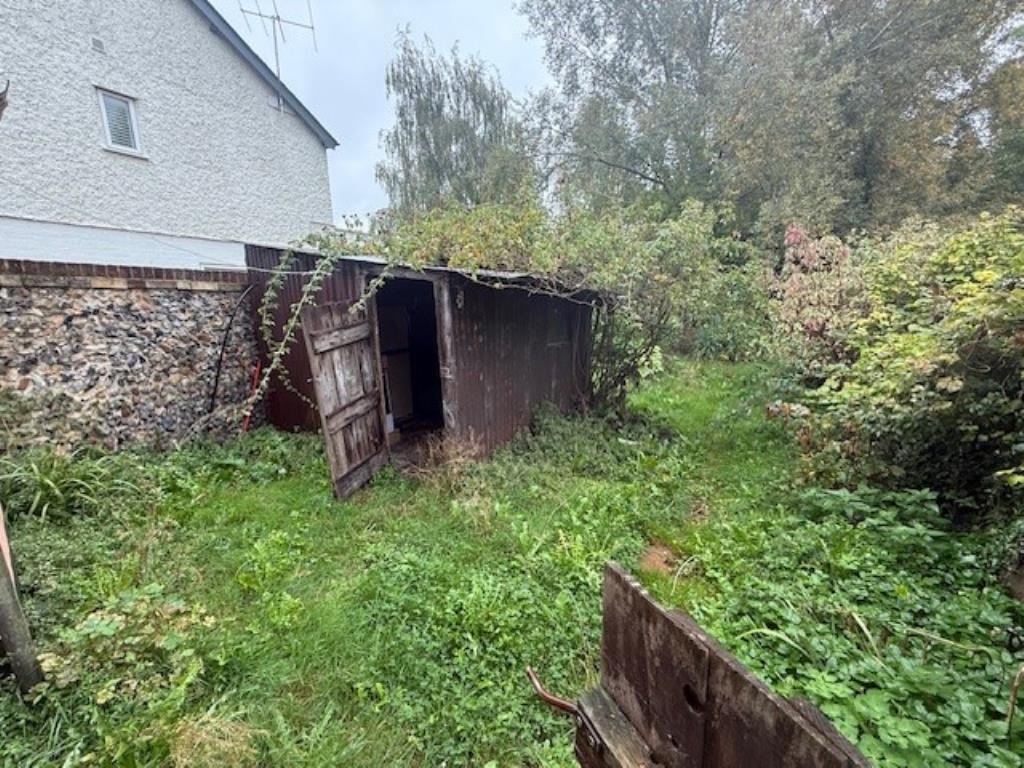 50 Abbey Street shot of overgrown garden with shed