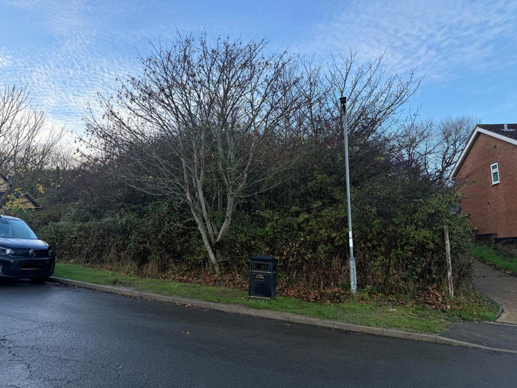 View of land from The Fairway