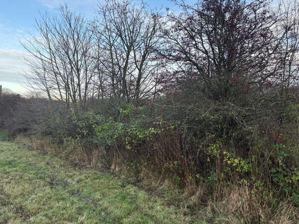 Rear view of land from accessway