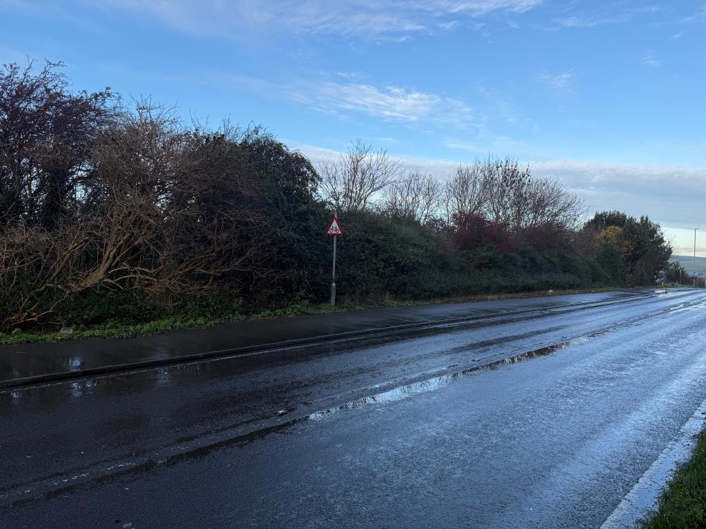 View of land with frontage from east