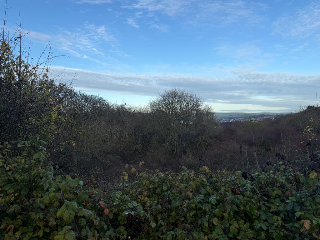 View of land from Brighton Road