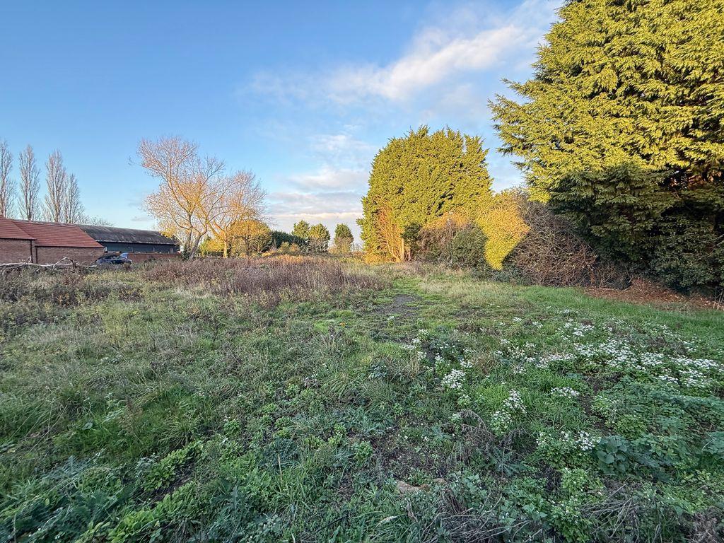 Site Photo