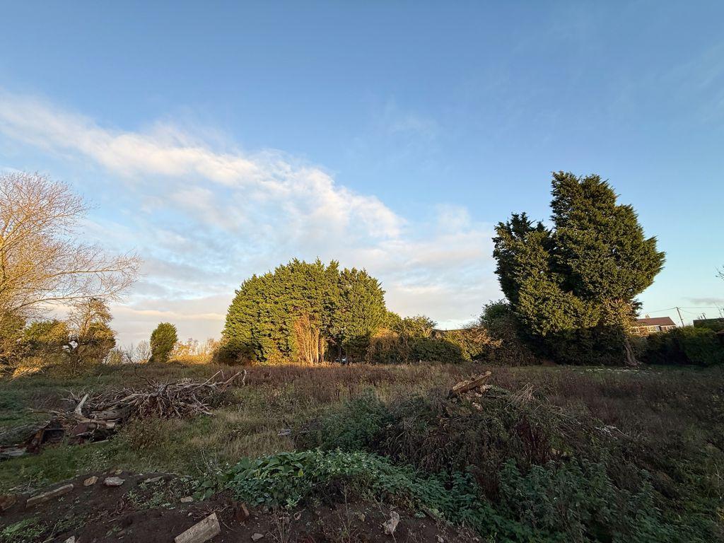 Site Photo
