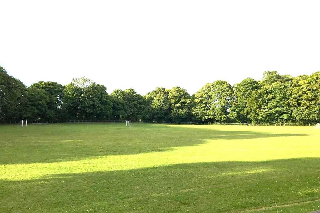 Sports Ground.jpg