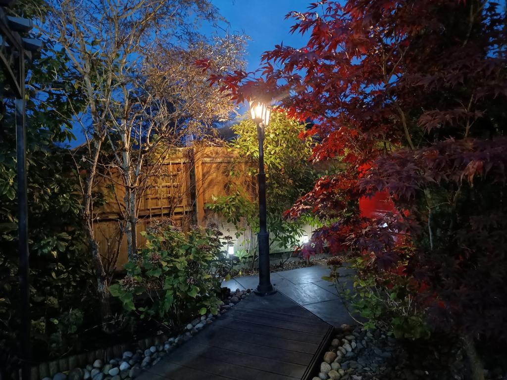 Night Time Garden