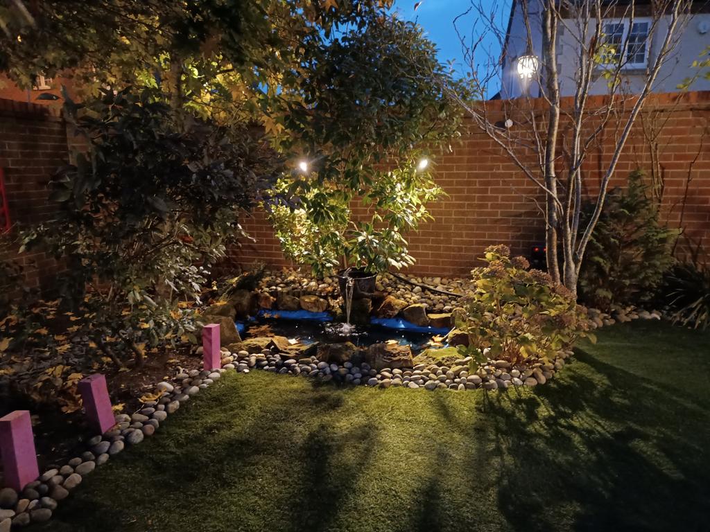 Night Time Garden