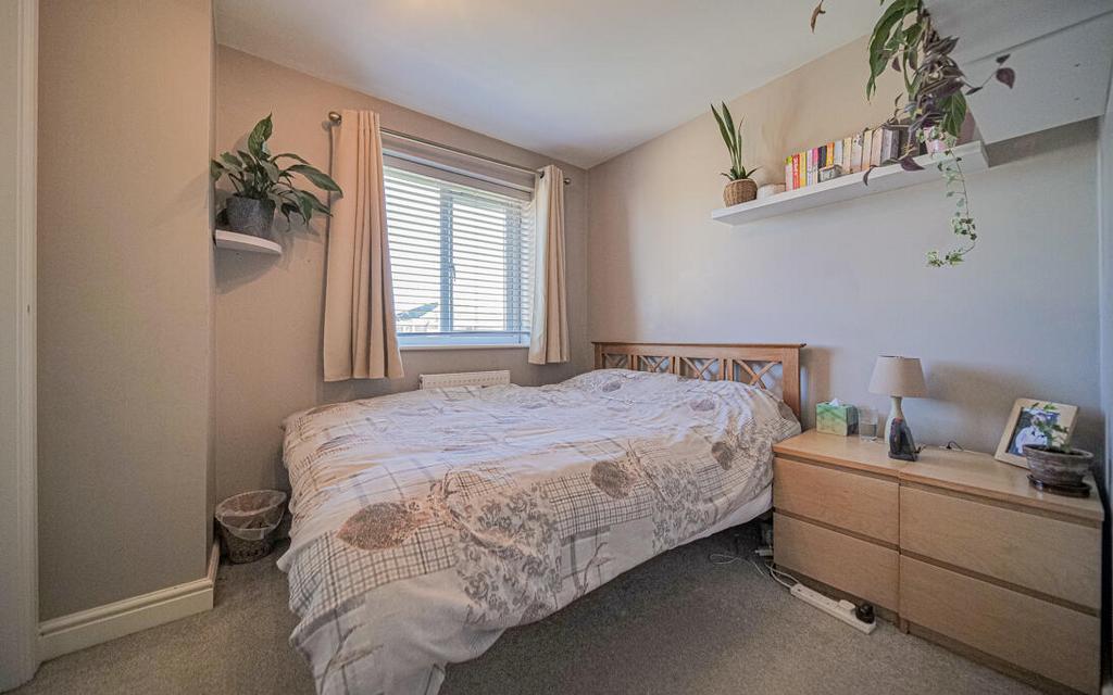 P1065647.jpg