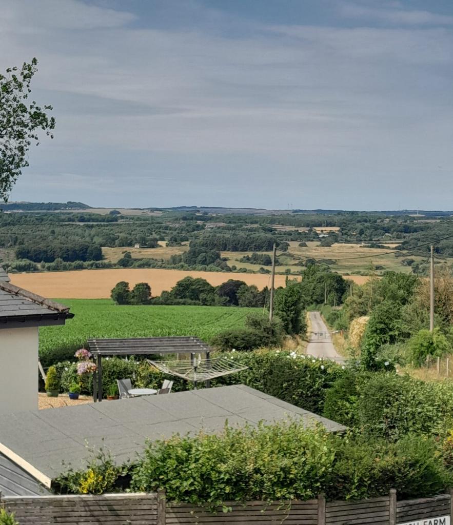 View from Upstairs
