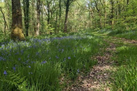 undefined, Land Lying To The North West Of Champles Farm, Stoodleigh, Tiverton, Devon, EX16