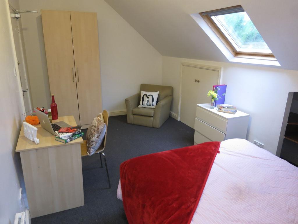Bright attic bedroom with a skylight, comfy dou...