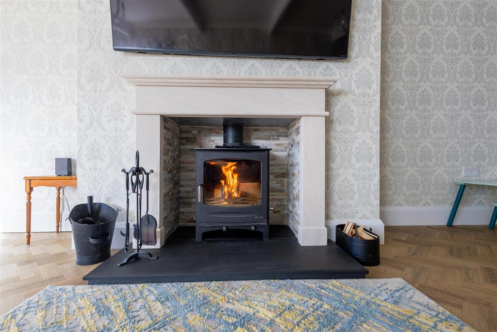 Dual fuel stove