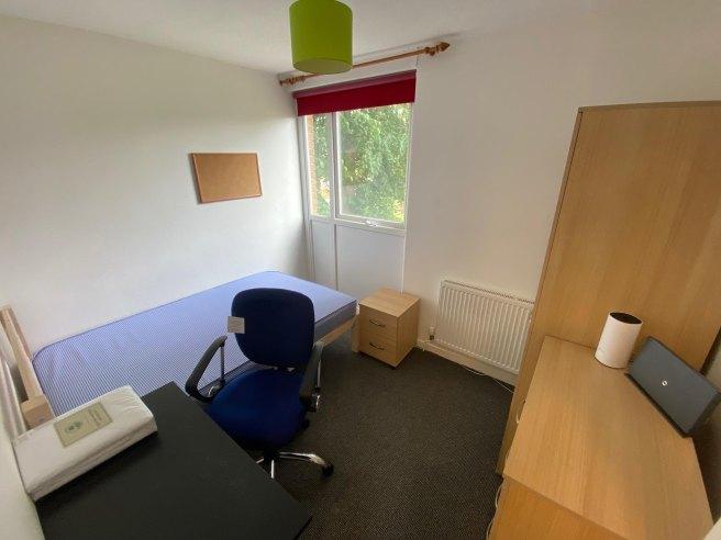 Nursery-walk-ct2-7tf-1015054