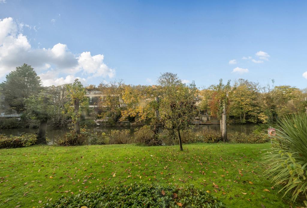 Communal Garden